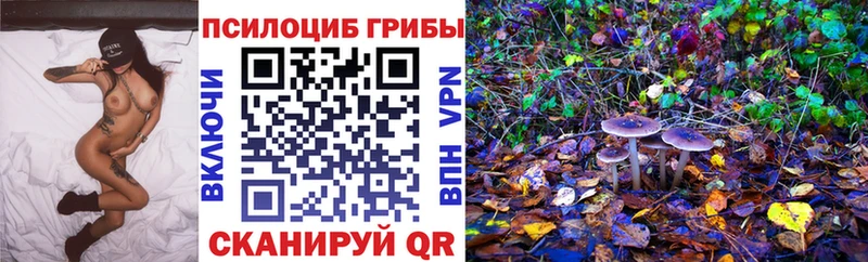 сколько стоит  blacksprut сайт  Галлюциногенные грибы Magic Shrooms  Плёс 